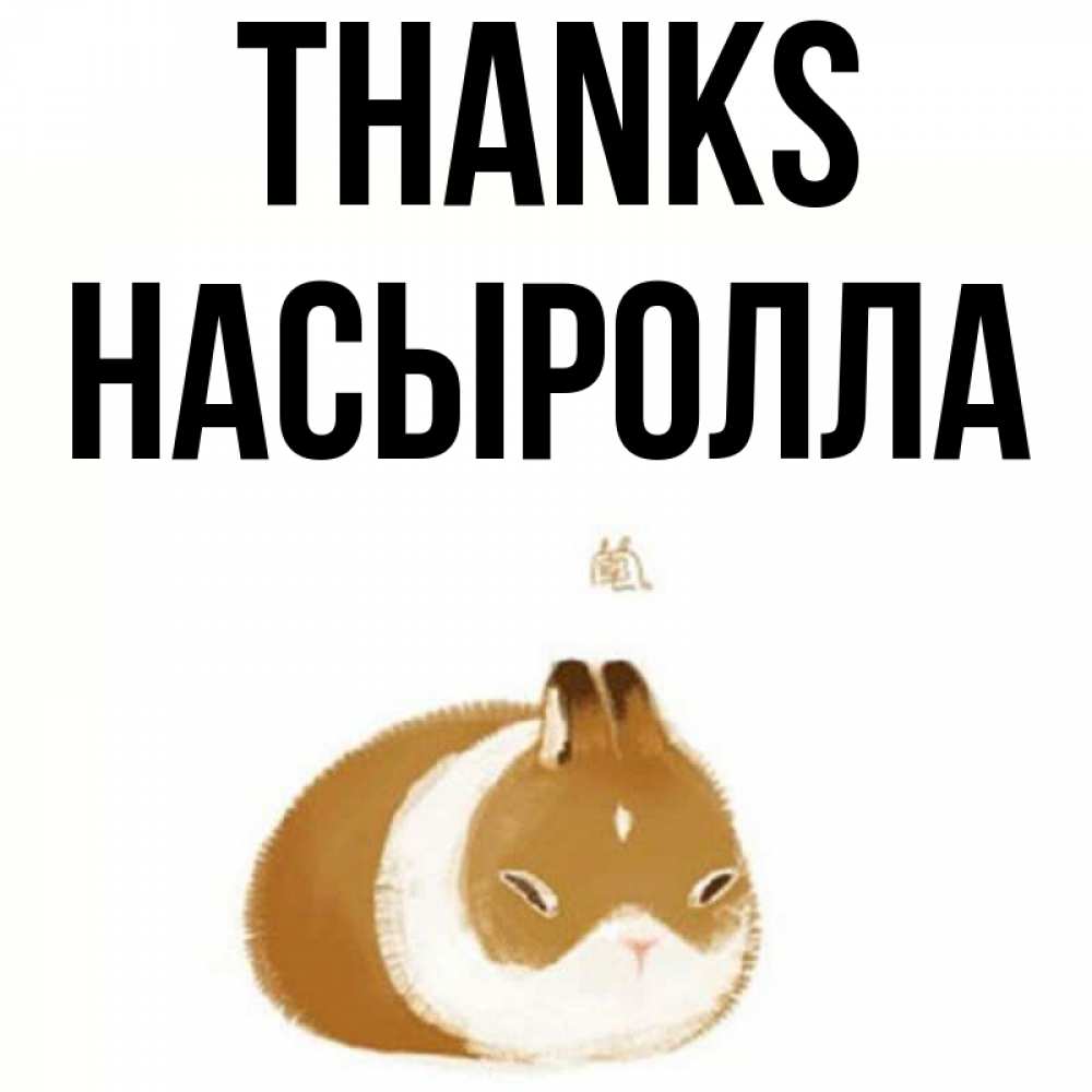 Greetings card с именем, Насыролла Thanks коричнево белый домашний питомец Greetings with text for free download 