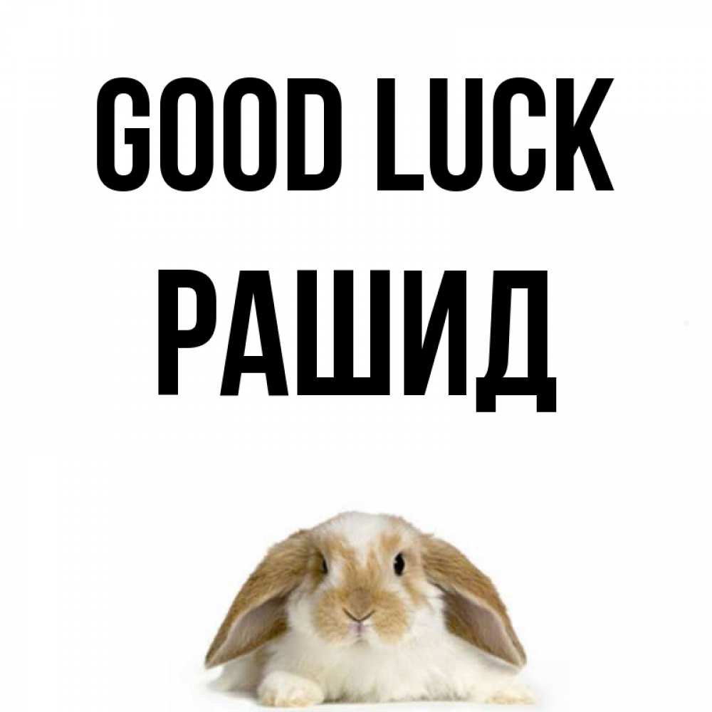 Greetings card с именем, Рашид Good luck открытки с произвольным текстом который можно вставить в открытку и создать ее самостоятельно бесплатно онлайн Greetings with text for free download 