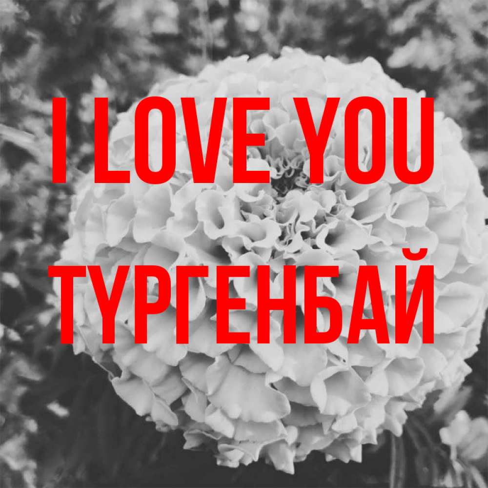 Greetings card с именем, ТҮРГЕНБАЙ I love you подпись Greetings with text for free download 