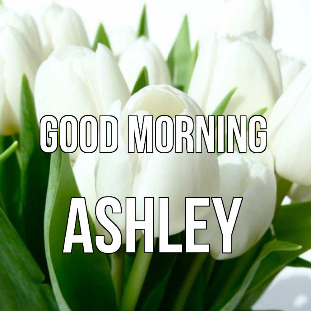 Greetings card с именем, Ashley Good morning открытки на каждый день по именам Greetings with text for free download 