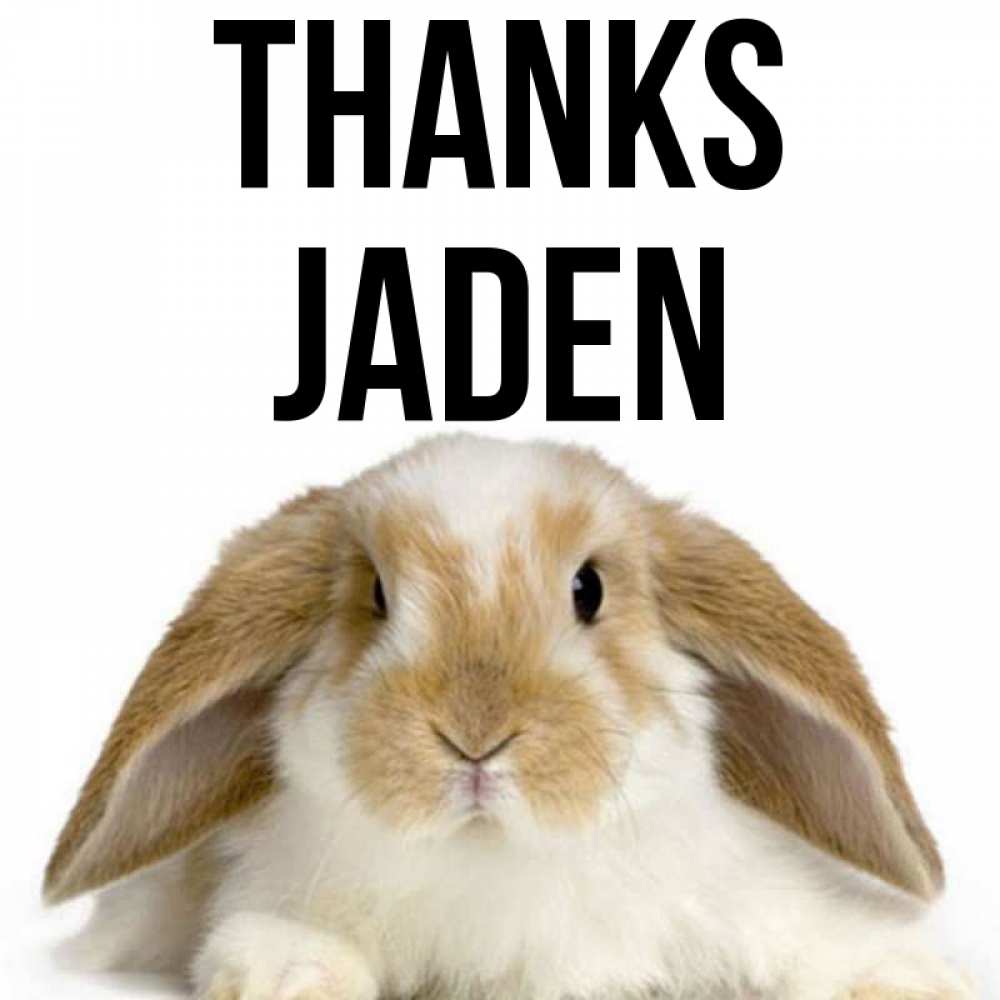 Greetings card с именем, Jaden Thanks коричнево белый заяц Greetings with text for free download 