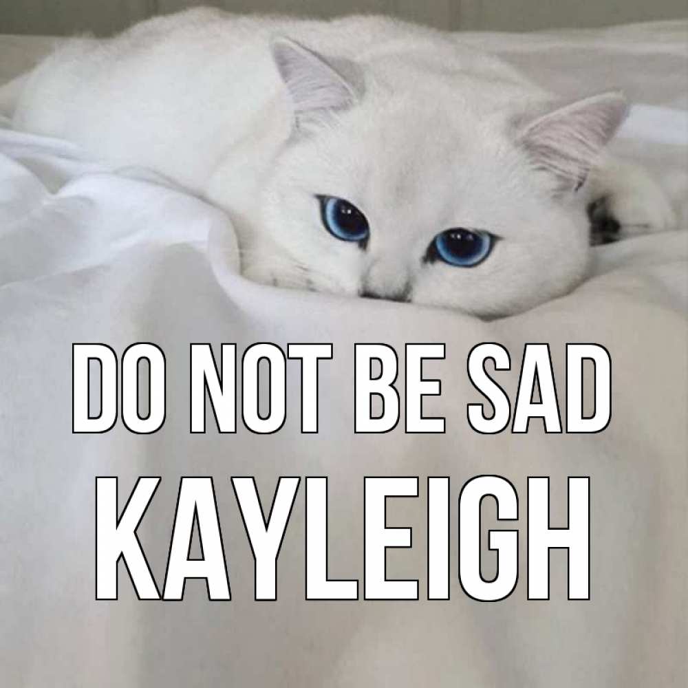 Greetings card с именем, Kayleigh Do not be sad белый кот с голубыми глазами на белоснежной кровати Greetings with text for free download 