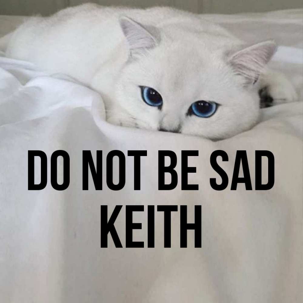 Greetings card с именем, Keith Do not be sad Голубоглазая кошка Greetings with text for free download 