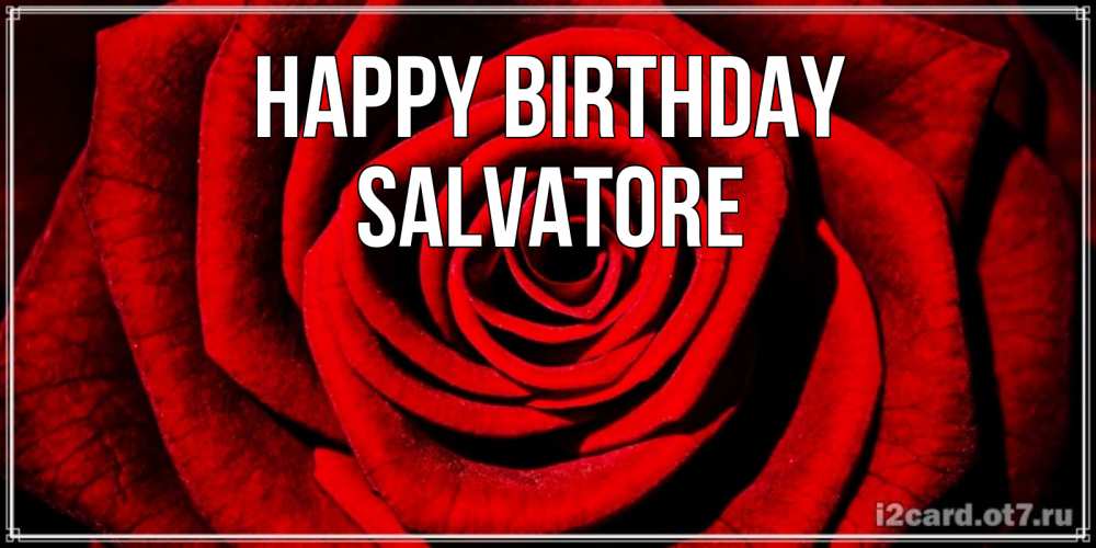 Greetings card с именем, Salvatore Happy Birthday алая роза Greetings with text for free download 