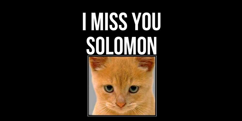 Greetings card с именем, Solomon I miss you открытки рыжий котенок скучает по тебе Greetings with text for free download 