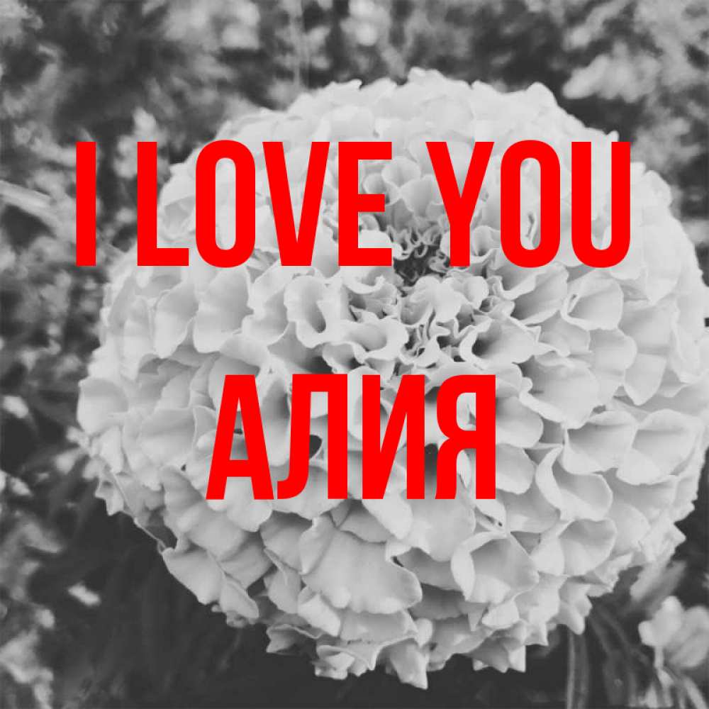 Greetings card с именем, Алия I love you подпись Greetings with text for free download 