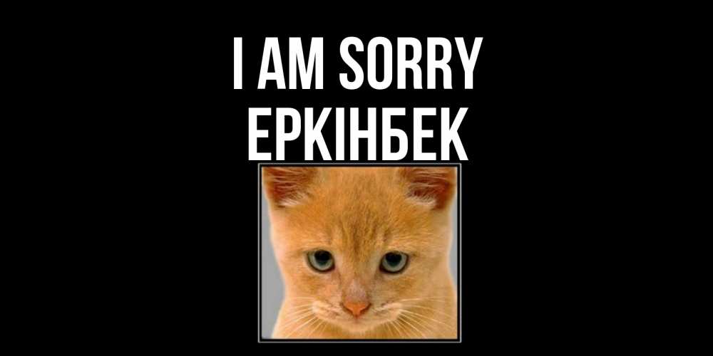 Greetings card с именем, Еркінбек I am sorry рыжий грустный кот просит прощения Greetings with text for free download 