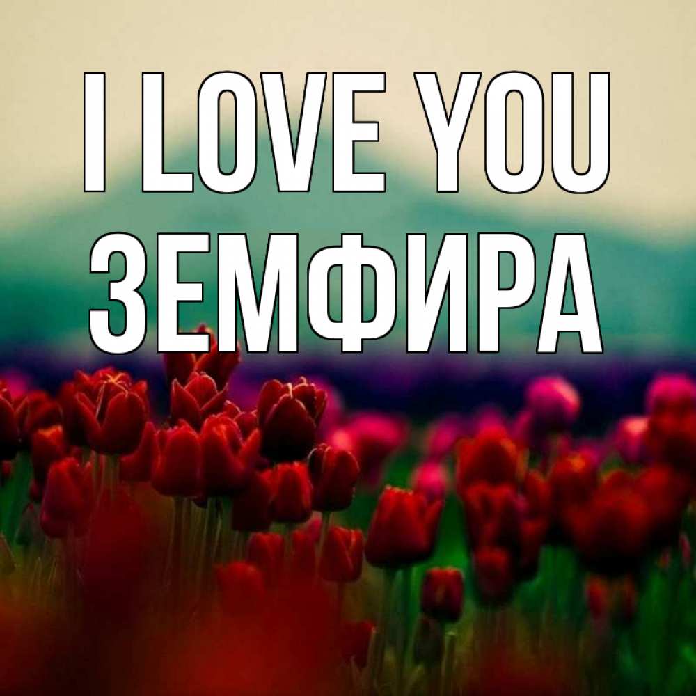 Greetings card с именем, ЗЕМФИРА I love you тюльпаны 4 Greetings with text for free download 