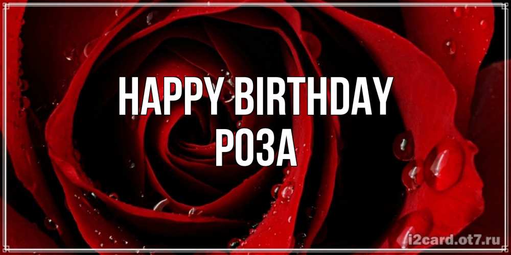 Greetings card с именем, РОЗА Happy Birthday крупная бордовая роза Greetings with text for free download 
