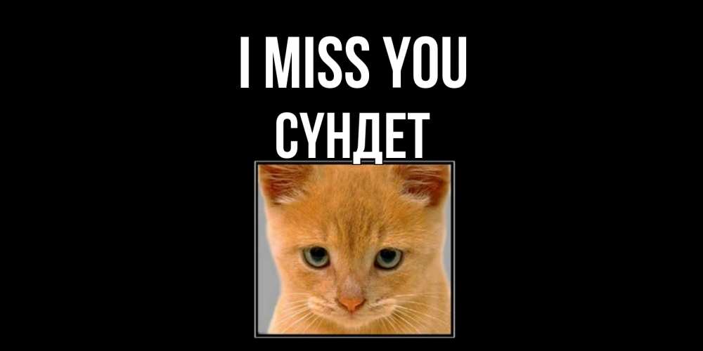 Greetings card с именем, СҮНДЕТ I miss you открытки рыжий котенок скучает по тебе Greetings with text for free download 