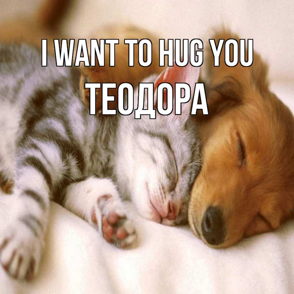 Greetings card с именем, Теодора I want to hug you пес и котенок Greetings with text for free download 