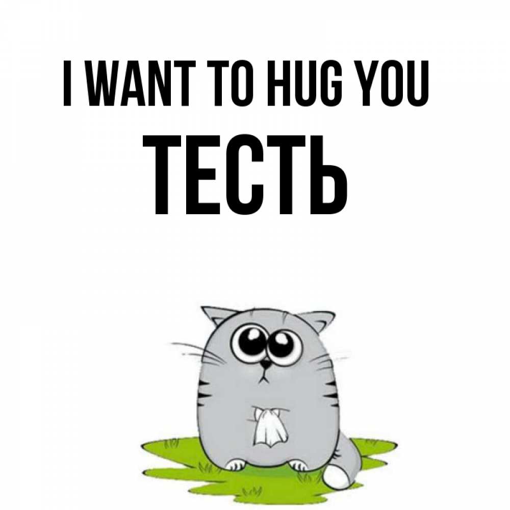 Greetings card с именем, Тесть I want to hug you котик теребит платочек сидя на травке Greetings with text for free download 