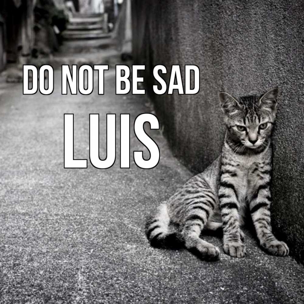 Greetings card с именем, Luis Do not be sad скучающий котик Greetings with text for free download 