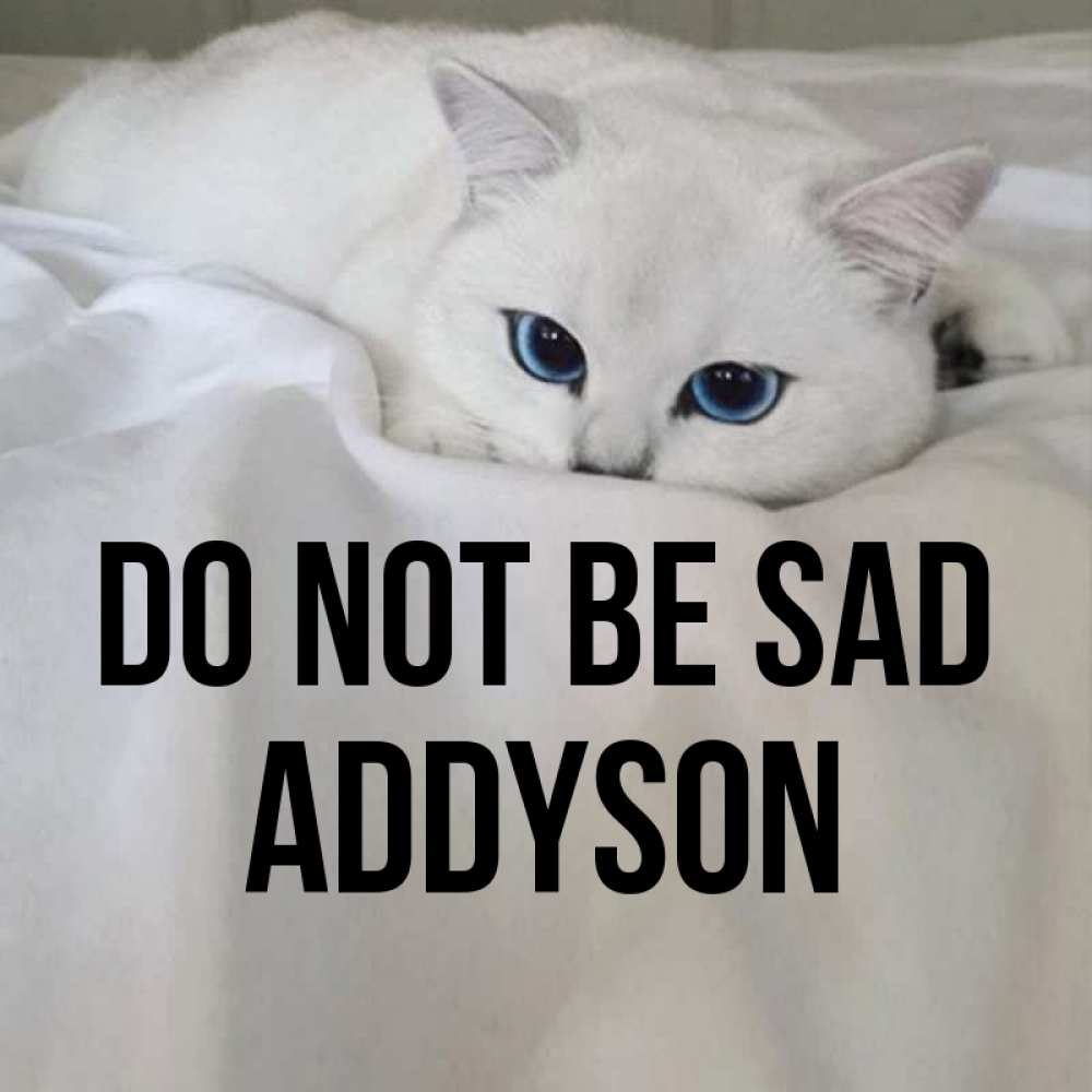 Greetings card с именем, Addyson Do not be sad Голубоглазая кошка Greetings with text for free download 