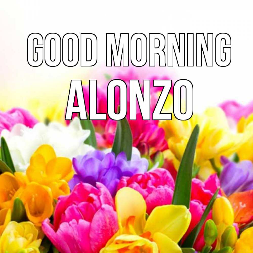 Greetings card с именем, Alonzo Good morning создать открытку со свое подписью Greetings with text for free download 
