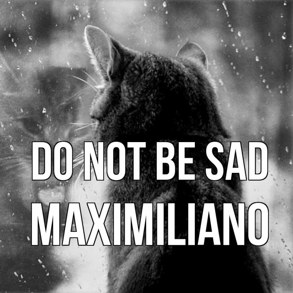 Greetings card с именем, Maximiliano Do not be sad отражение кота 1 Greetings with text for free download 