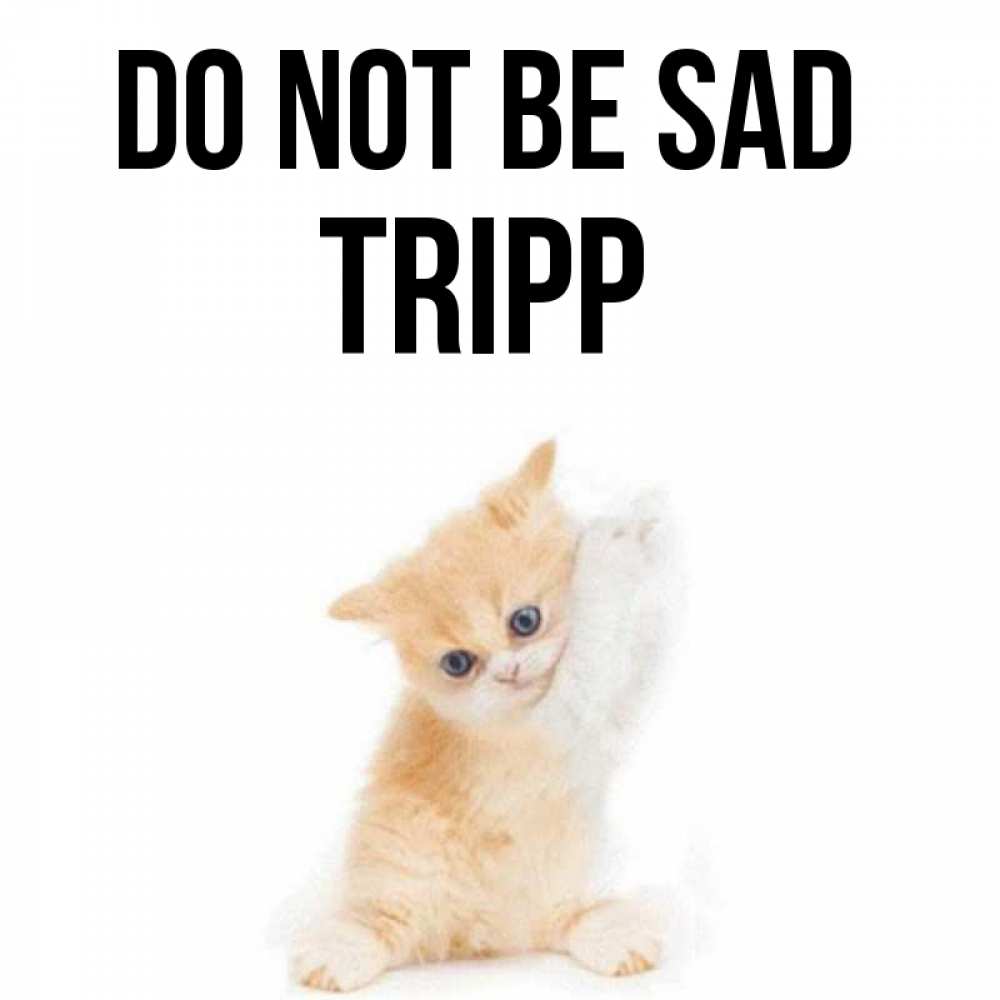 Greetings card с именем, Tripp Do not be sad просящий кот Greetings with text for free download 