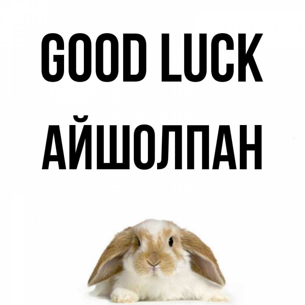 Greetings card с именем, АЙШОЛПАН Good luck открытки с произвольным текстом который можно вставить в открытку и создать ее самостоятельно бесплатно онлайн Greetings with text for free download 