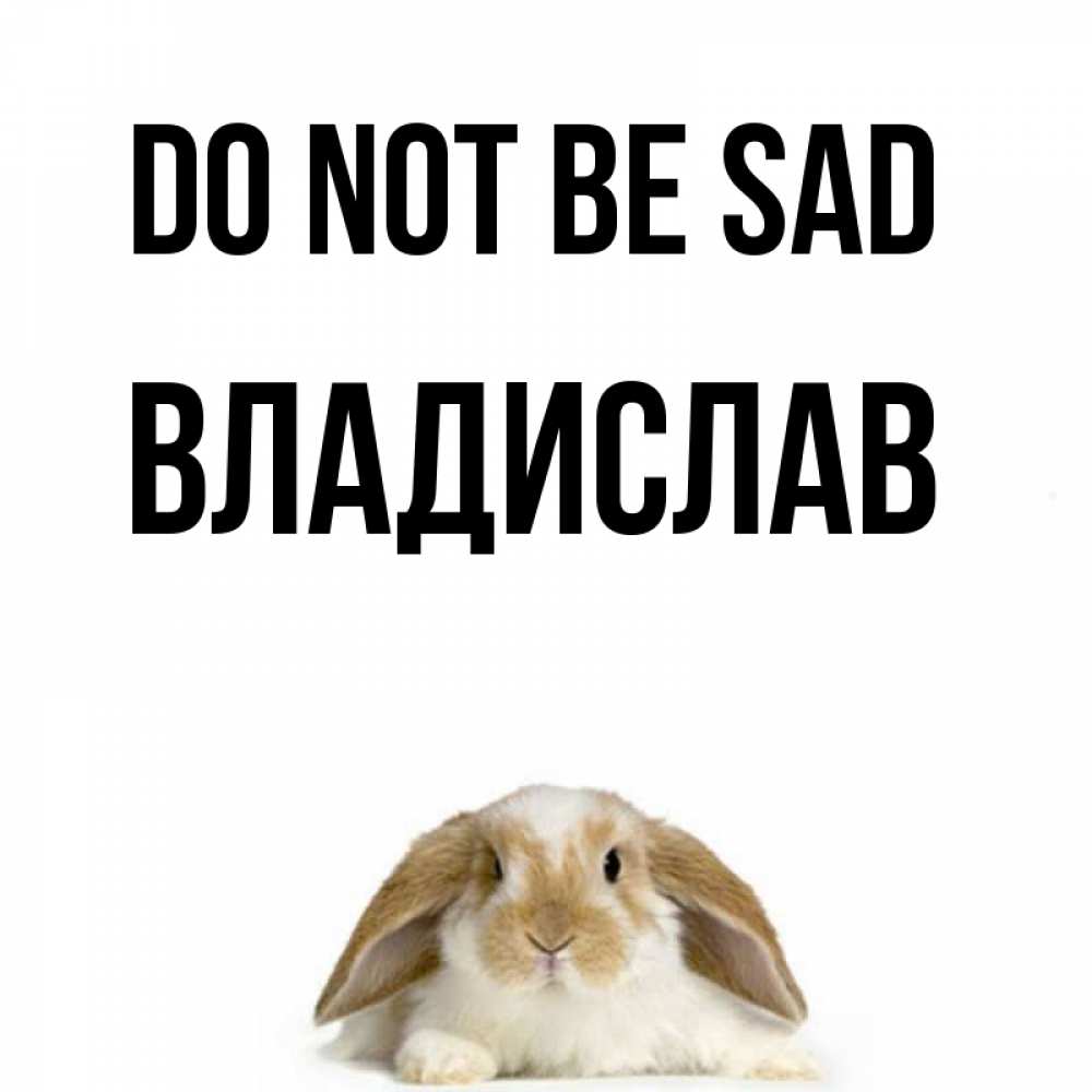 Greetings card с именем, Владислав Do not be sad коричнево белый заяц с большими ушками Greetings with text for free download 
