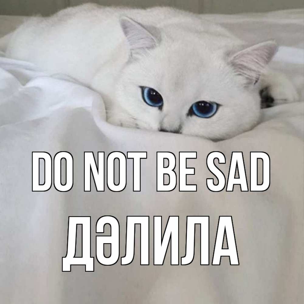 Greetings card с именем, ДӘЛИЛА Do not be sad белый кот с голубыми глазами на белоснежной кровати Greetings with text for free download 