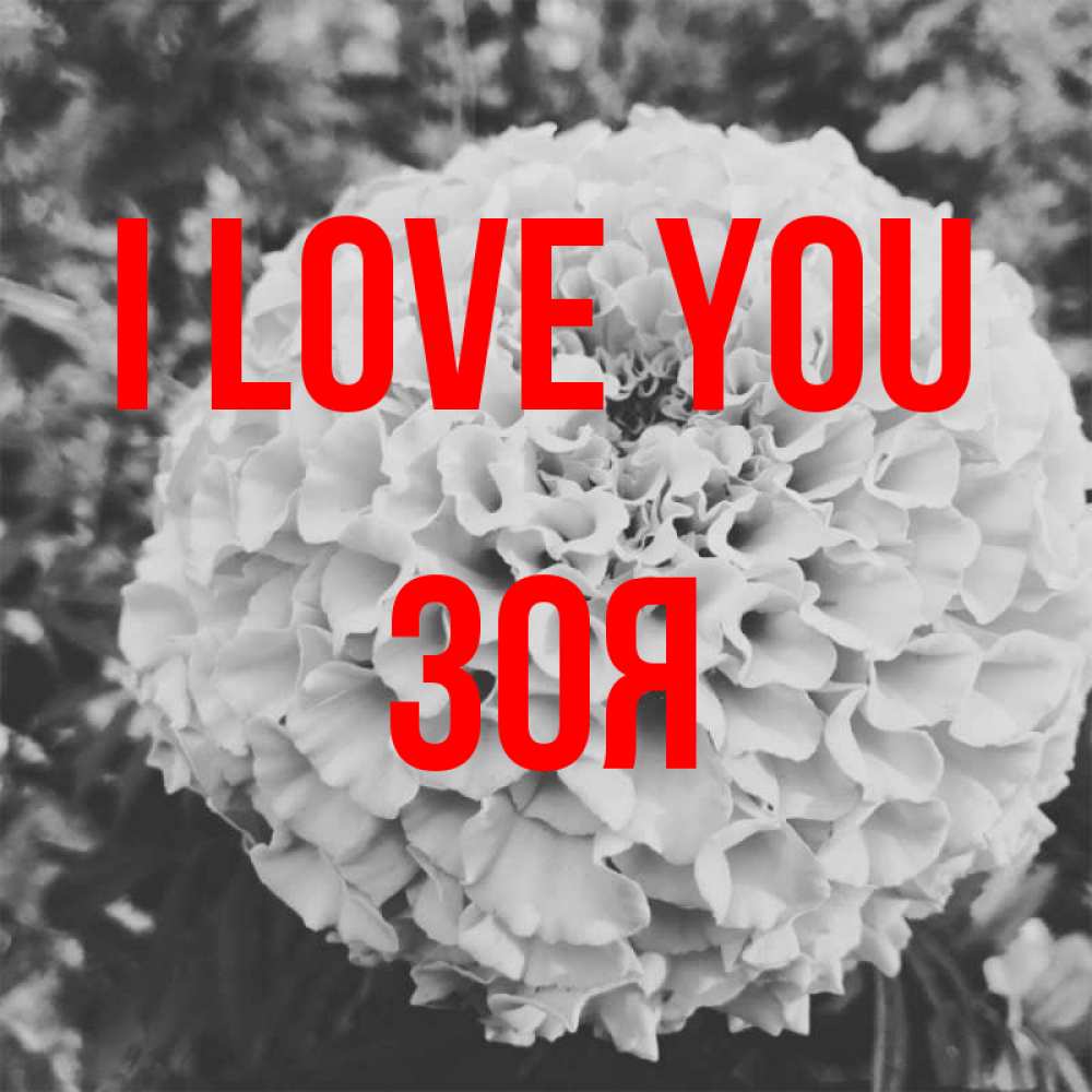 Greetings card с именем, Зоя I love you подпись Greetings with text for free download 