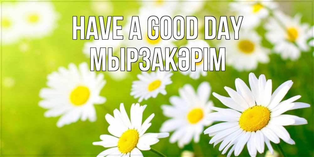 Greetings card с именем, Мырзакәрім Have a good day открытка с ромашками на зеленом фоне Greetings with text for free download 