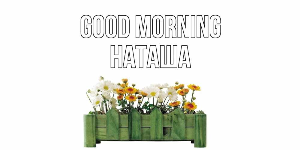 Greetings card с именем, Наташа Good morning цветы Greetings with text for free download 