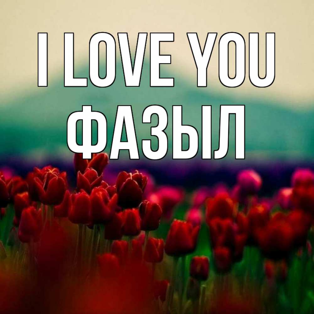 Greetings card с именем, ФАЗЫЛ I love you тюльпаны 4 Greetings with text for free download 