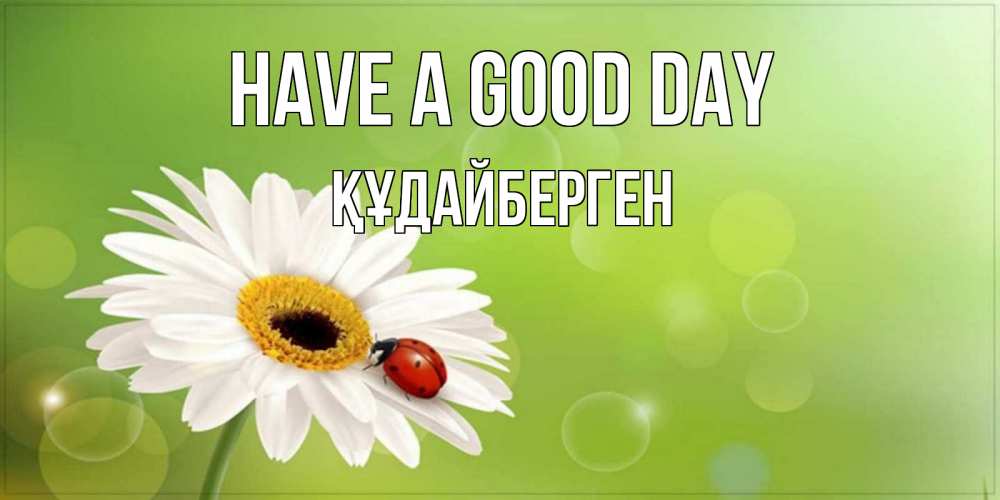 Greetings card с именем, ҚҰДАЙБЕРГЕН Have a good day зеленый фон и ромашка Greetings with text for free download 
