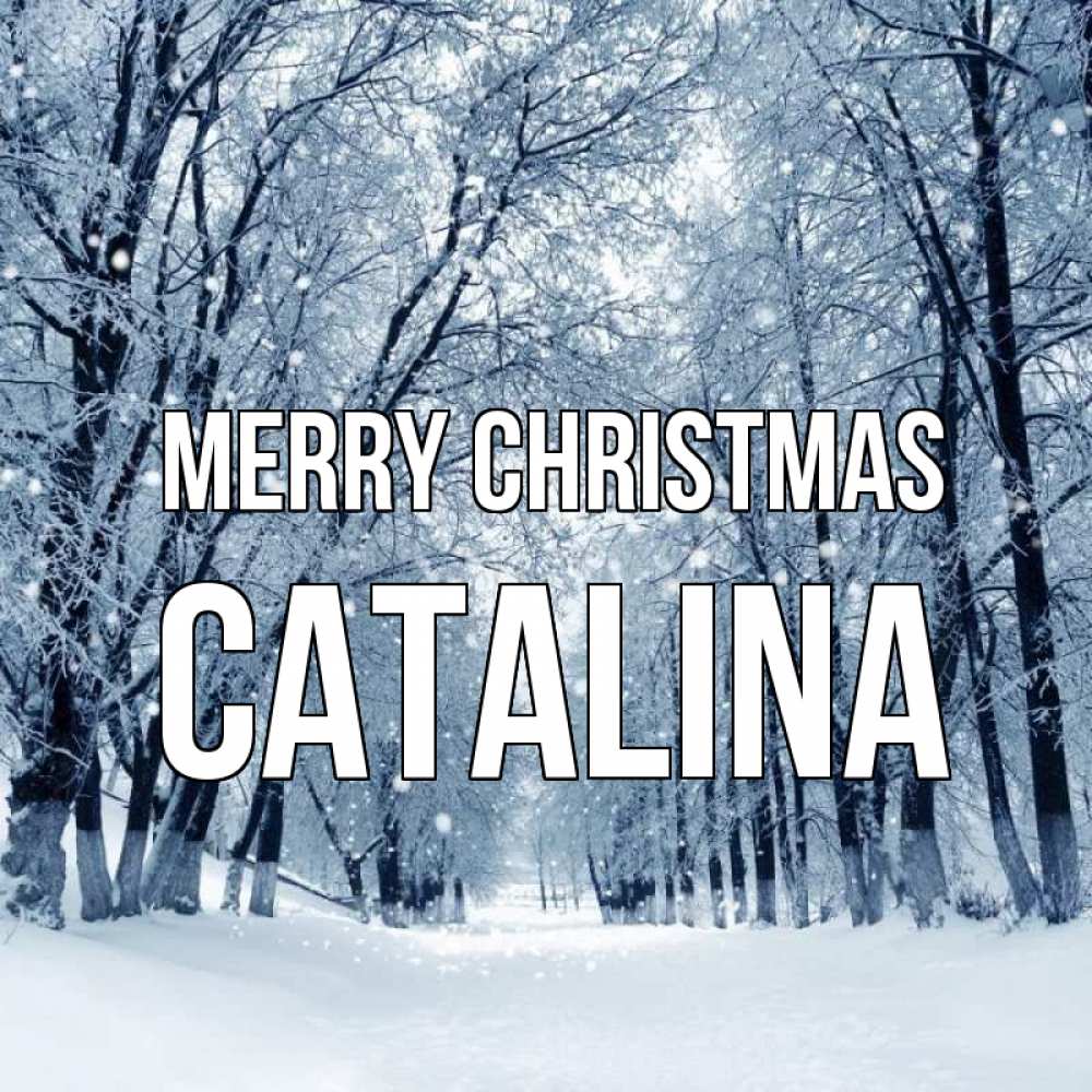 Greetings card с именем, Catalina Merry Christmas снег, лес, парк Greetings with text for free download 