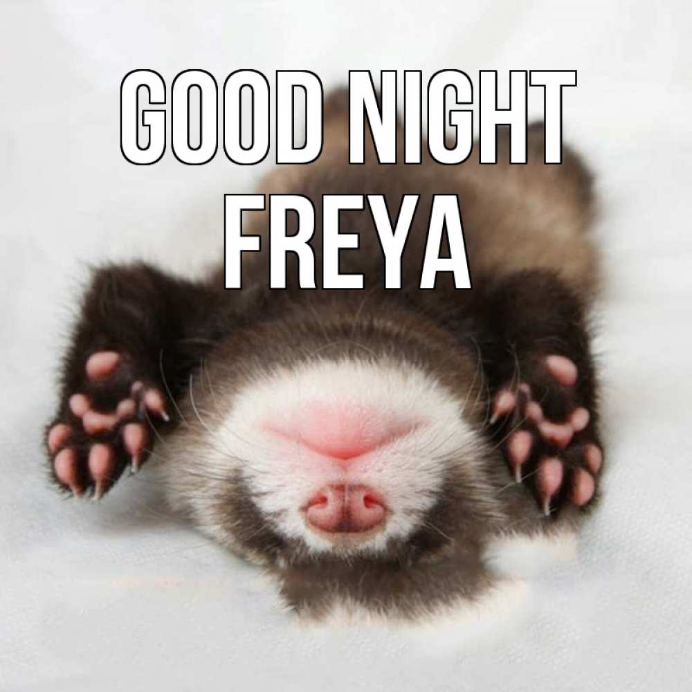 Greetings card с именем, Freya Good night зверек Greetings with text for free download 