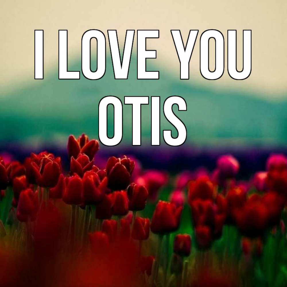 Greetings card с именем, Otis I love you тюльпаны 4 Greetings with text for free download 