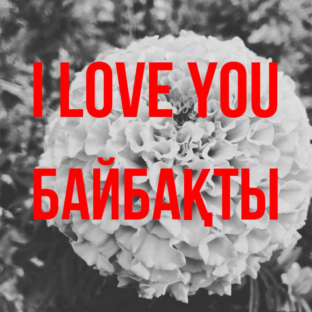 Greetings card с именем, Байбақты I love you подпись Greetings with text for free download 