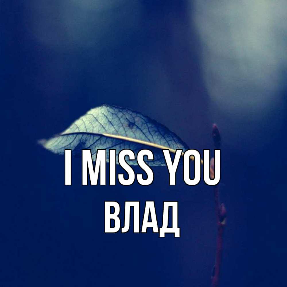 Greetings card с именем, Влад I miss you одна ветка 1 Greetings with text for free download 