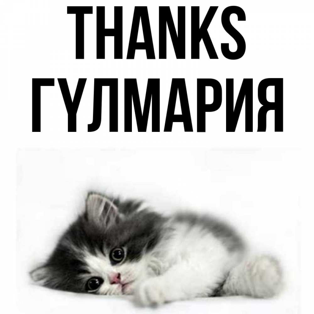 Greetings card с именем, ГҮЛМАРИЯ Thanks черный и белый кот Greetings with text for free download 