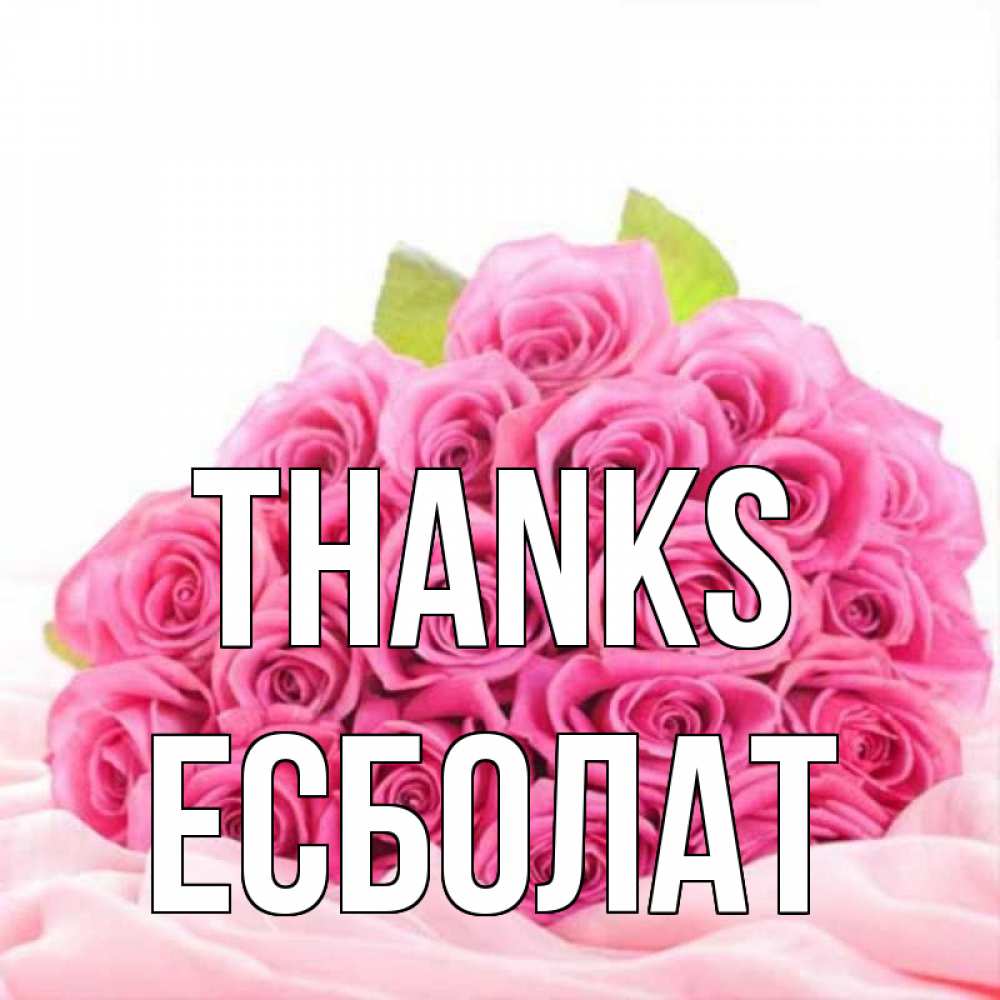 Greetings card с именем, Есболат Thanks розовые розы с подписью Greetings with text for free download 