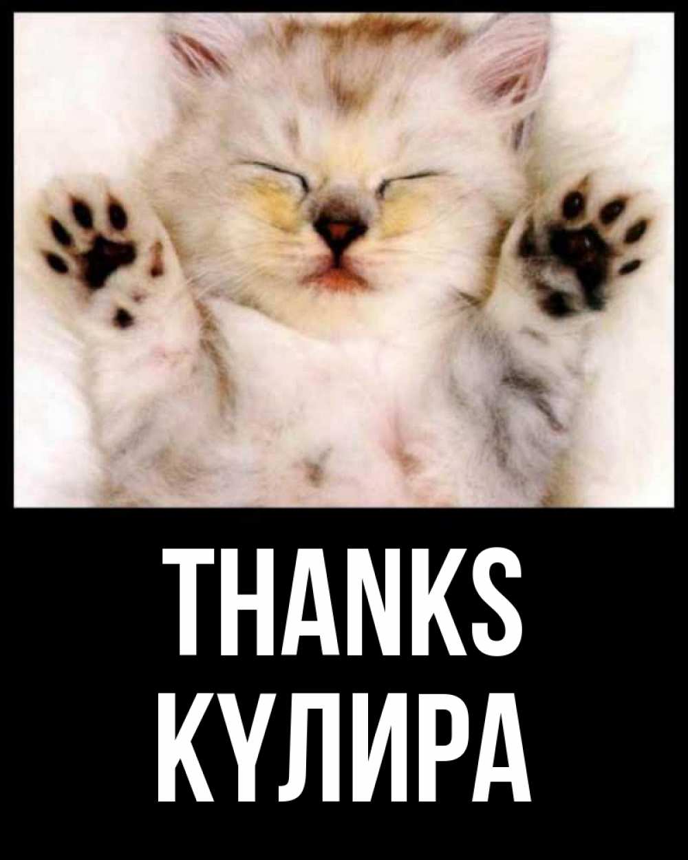 Greetings card с именем, КҮЛИРА Thanks маленький котенок Greetings with text for free download 