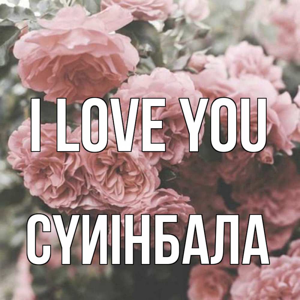 Greetings card с именем, СҮИІНБАЛА I love you розы 3 Greetings with text for free download 
