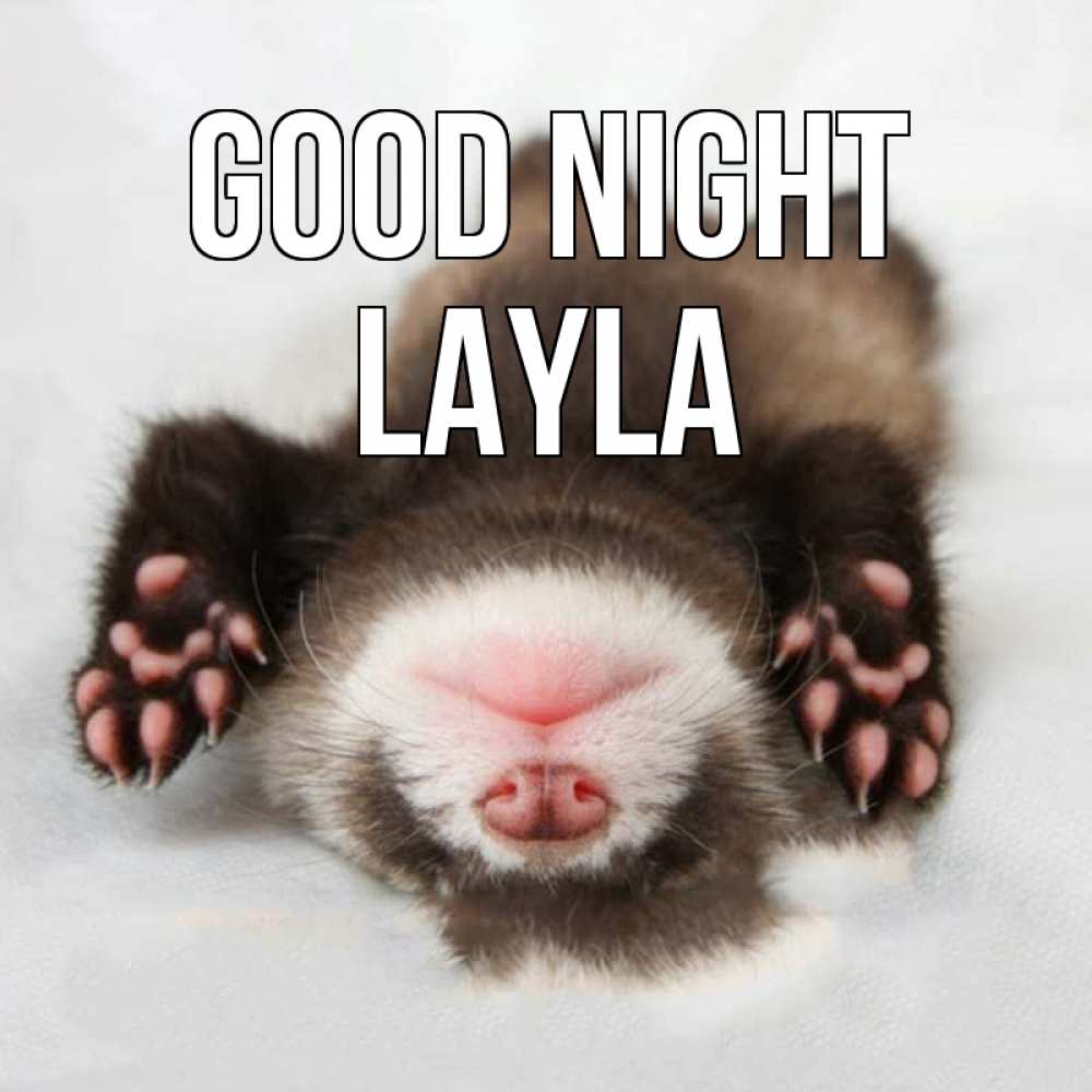 Greetings card с именем, Layla Good night зверек Greetings with text for free download 
