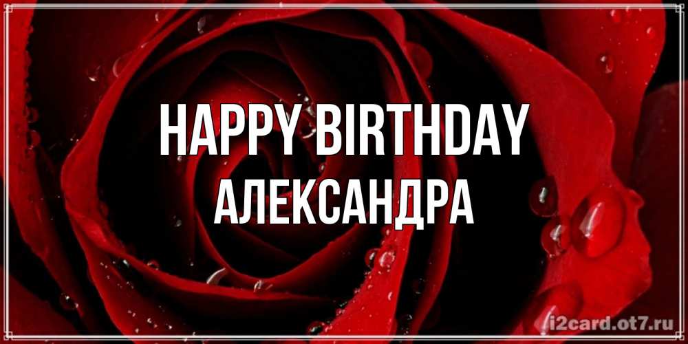Greetings card с именем, Александра Happy Birthday крупная бордовая роза Greetings with text for free download 