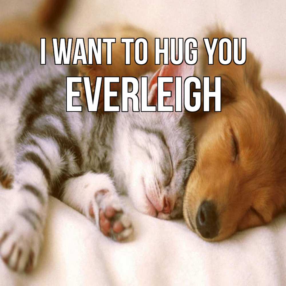 Greetings card с именем, Everleigh I want to hug you пес и котенок Greetings with text for free download 