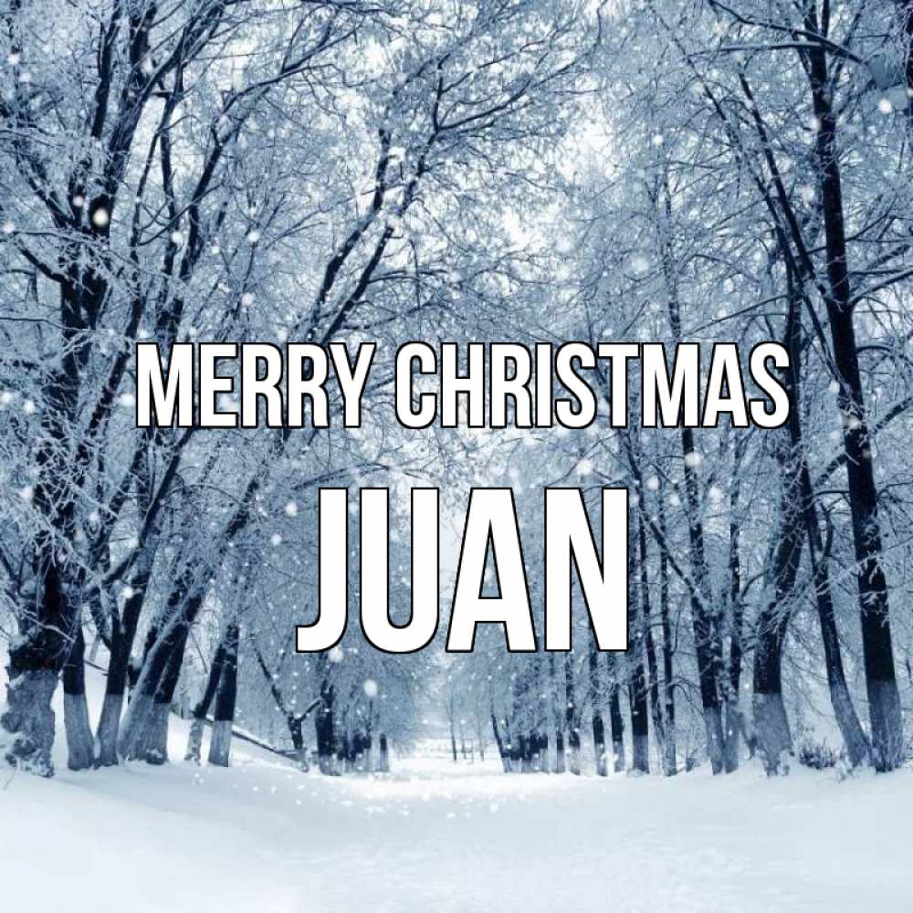 Greetings card с именем, Juan Merry Christmas снег, лес, парк Greetings with text for free download 