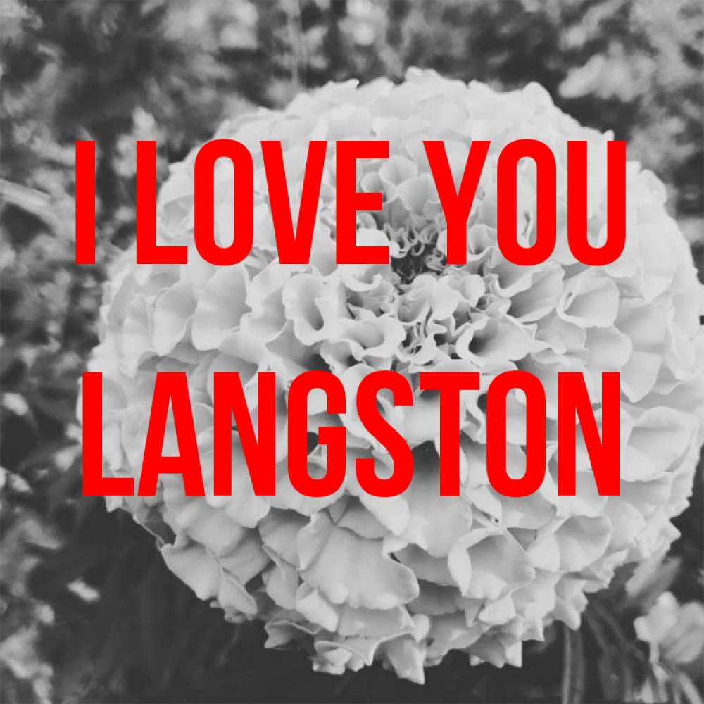 Greetings card с именем, Langston I love you подпись Greetings with text for free download 