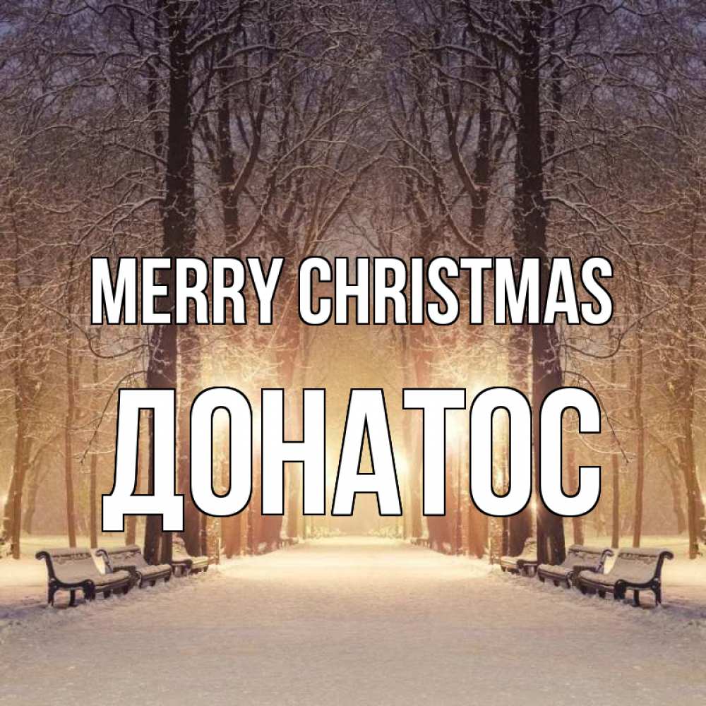 Greetings card с именем, Донатос Merry Christmas зима, парк, фонарь, лес Greetings with text for free download 