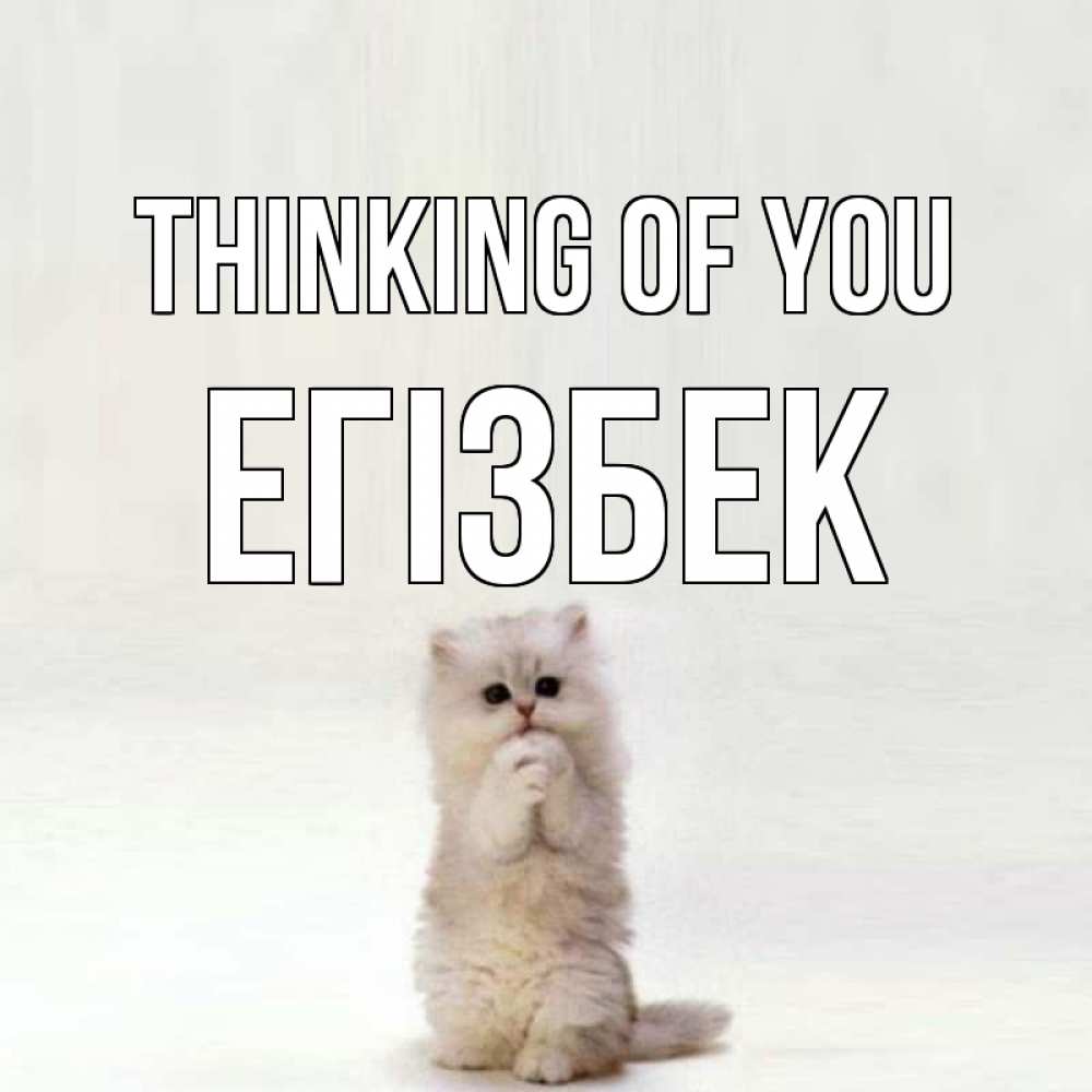 Greetings card с именем, Егізбек Thinking of you кот стоит на задних лапах Greetings with text for free download 