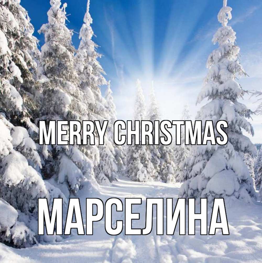 Greetings card с именем, Марселина Merry Christmas зима, лес Greetings with text for free download 