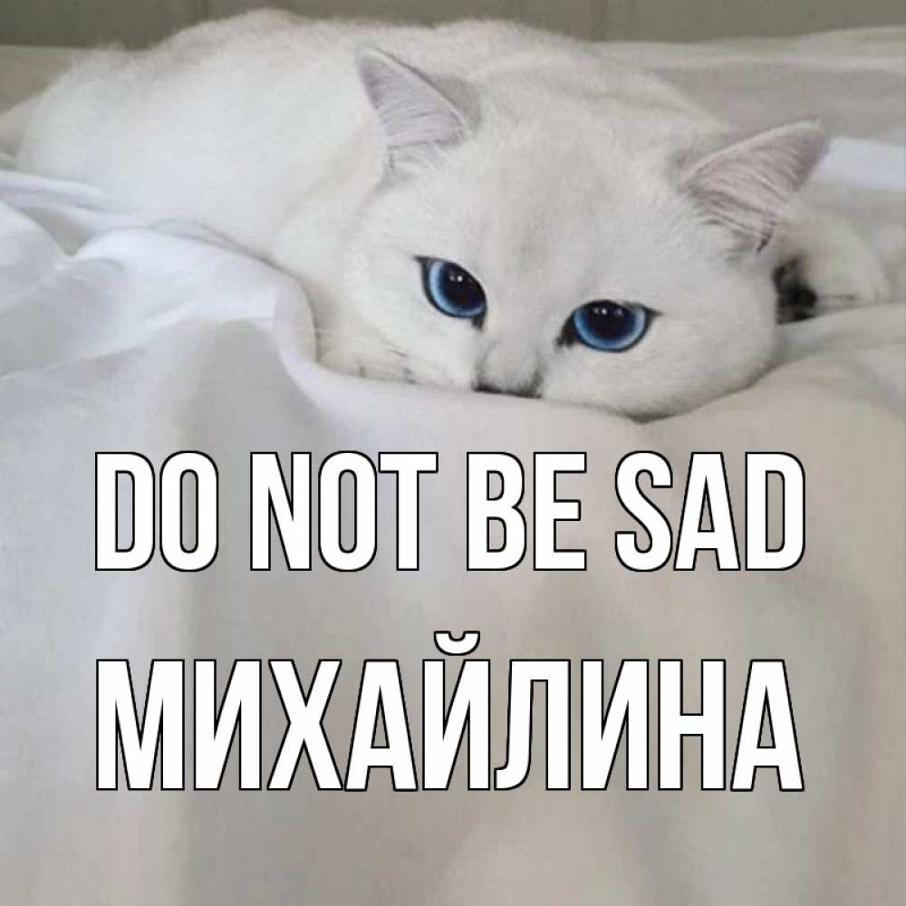 Greetings card с именем, Михайлина Do not be sad белый кот с голубыми глазами на белоснежной кровати Greetings with text for free download 