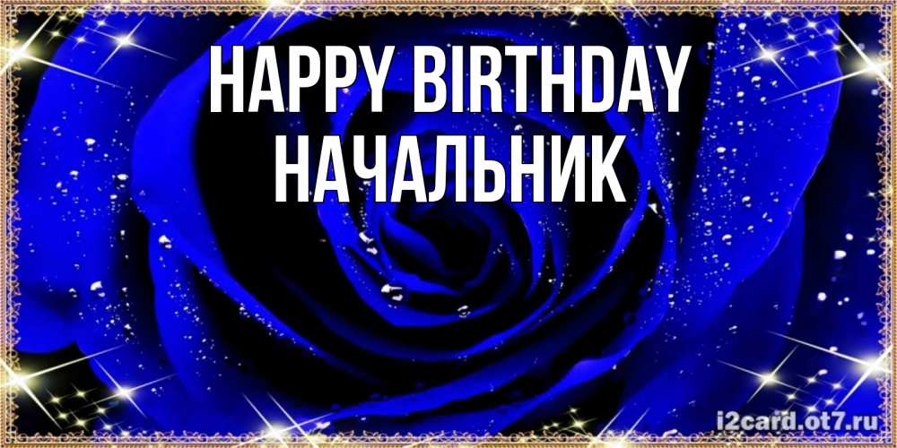 Greetings card с именем, Начальник Happy Birthday голубые цветы в росе Greetings with text for free download 