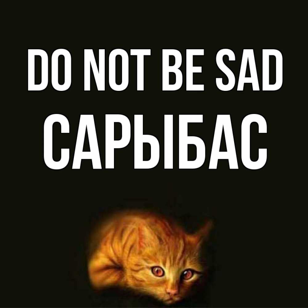 Greetings card с именем, САРЫБАС Do not be sad лежащий кот в темноте Greetings with text for free download 