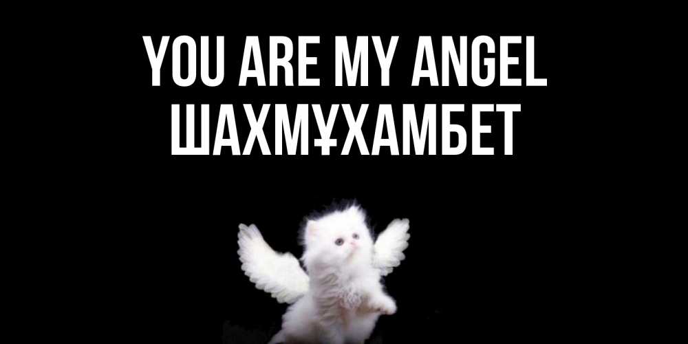 Greetings card с именем, ШАХМҰХАМБЕТ You are my angel Кот ангел Greetings with text for free download 